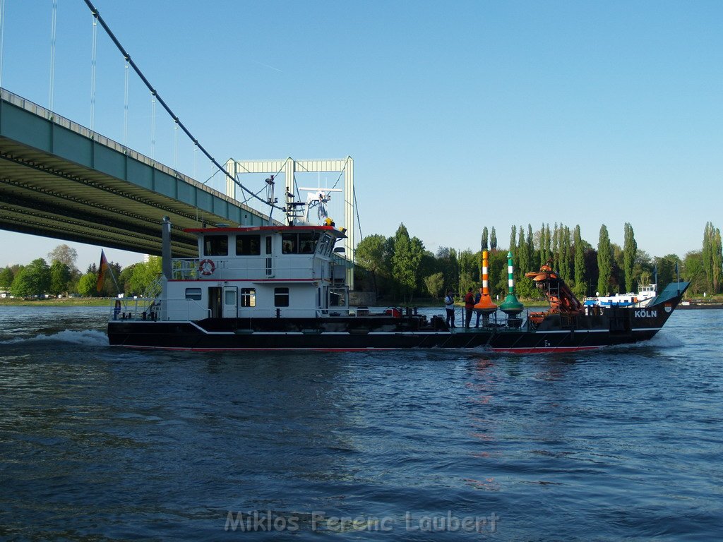 Motor Segelboot mit Motorschaden trieb gegen Alte Liebe bei Koeln Rodenkirchen P117.JPG